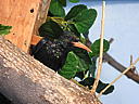 dscn3191.jpg