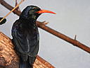dscn3192.jpg
