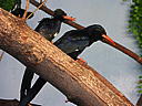 dscn3194.jpg