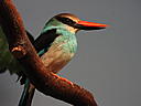 dscn3196.jpg