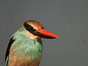 dscn3198.jpg