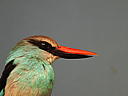 dscn3199.jpg