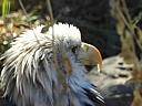 dscn3202.jpg