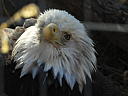dscn3206.jpg