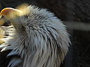 dscn3209.jpg