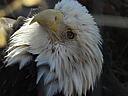dscn3210.jpg