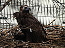 dscn3216.jpg