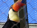 dscn3218.jpg