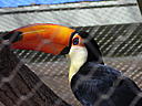 dscn3221.jpg