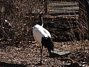 dscn3222.jpg