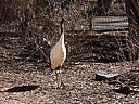 dscn3223.jpg