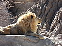 dscn3226.jpg