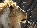 dscn3227.jpg