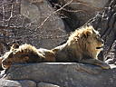 dscn3228.jpg
