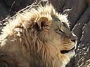 dscn3230.jpg