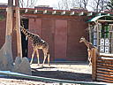 dscn3233.jpg