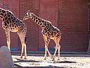dscn3234.jpg