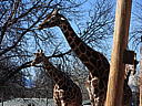 dscn3235.jpg