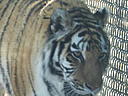 dscn3240.jpg