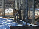 dscn3241.jpg