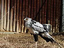 dscn3245.jpg