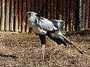 dscn3246.jpg
