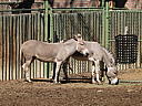 dscn3248.jpg