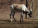 dscn3252.jpg