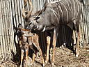 dscn3253.jpg