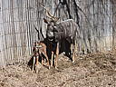 dscn3255.jpg