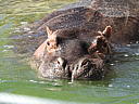dscn3261.jpg