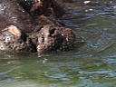 dscn3262.jpg