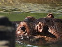 dscn3263.jpg
