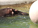 dscn3265.jpg