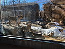 img_4590.jpg