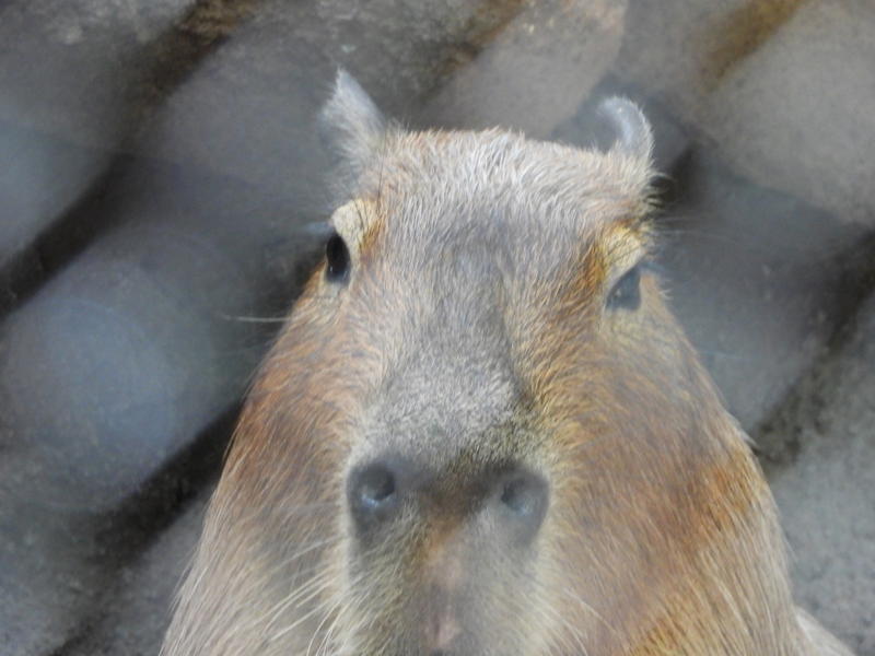 dscn3598.jpg