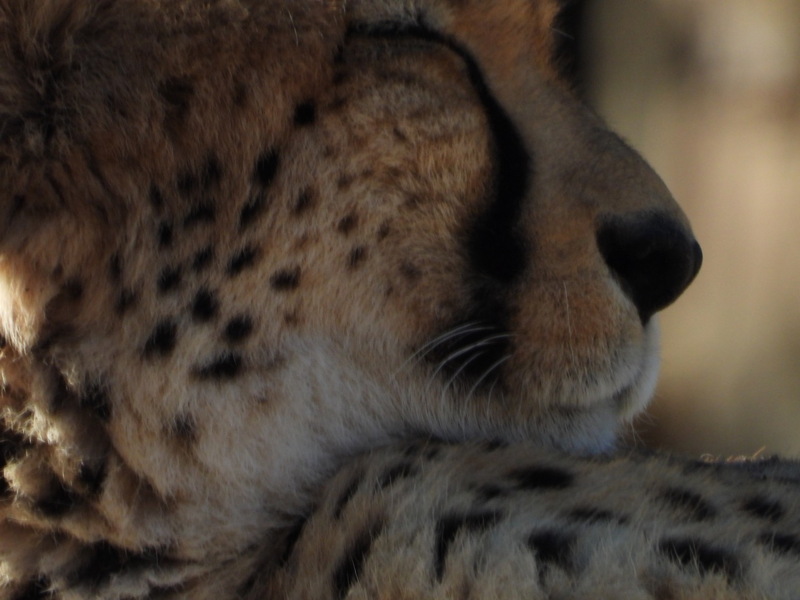 dscn2191.jpg