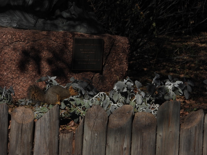 dscn2194.jpg