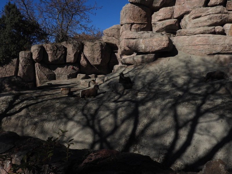 dscn2197.jpg