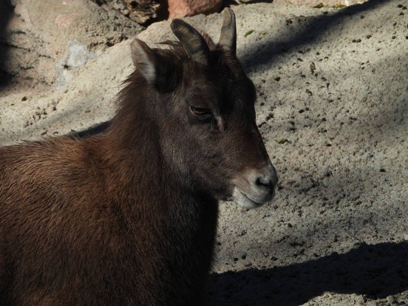 dscn2198.jpg