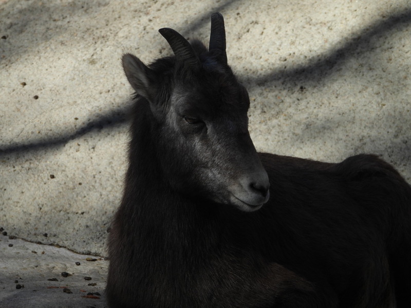 dscn2199.jpg