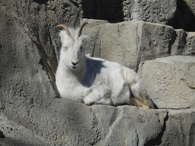 dscn2206.jpg