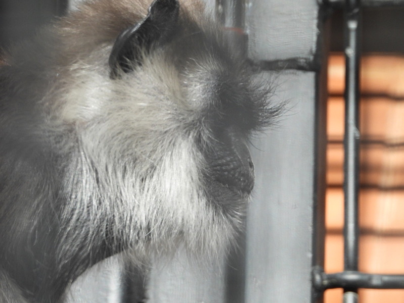 dscn2216.jpg