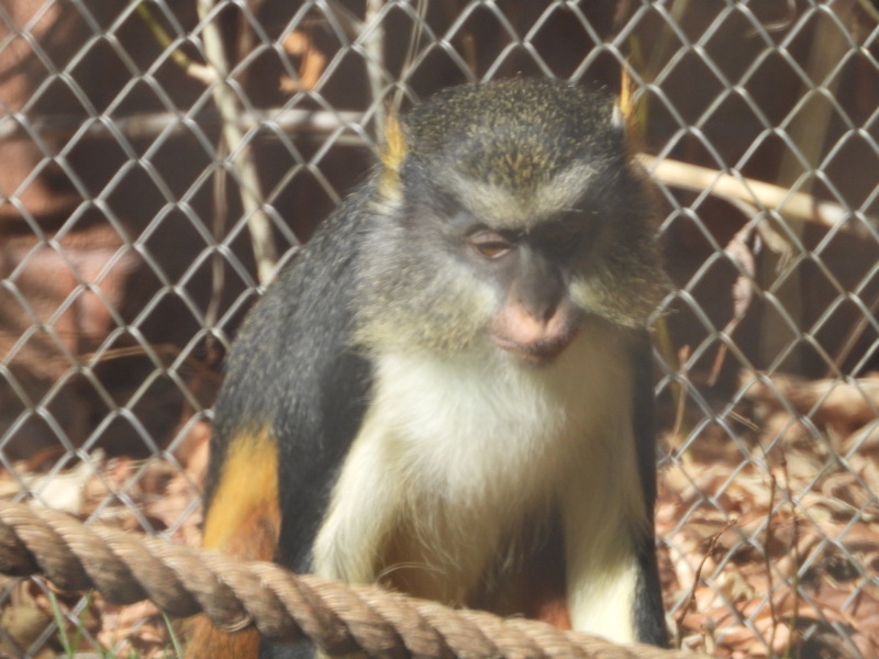 dscn2245.jpg