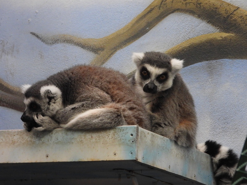 dscn2253.jpg