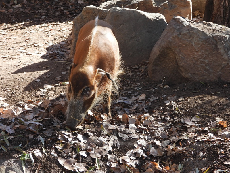 dscn2308.jpg