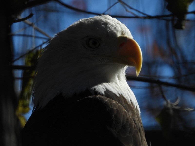 dscn2355.jpg