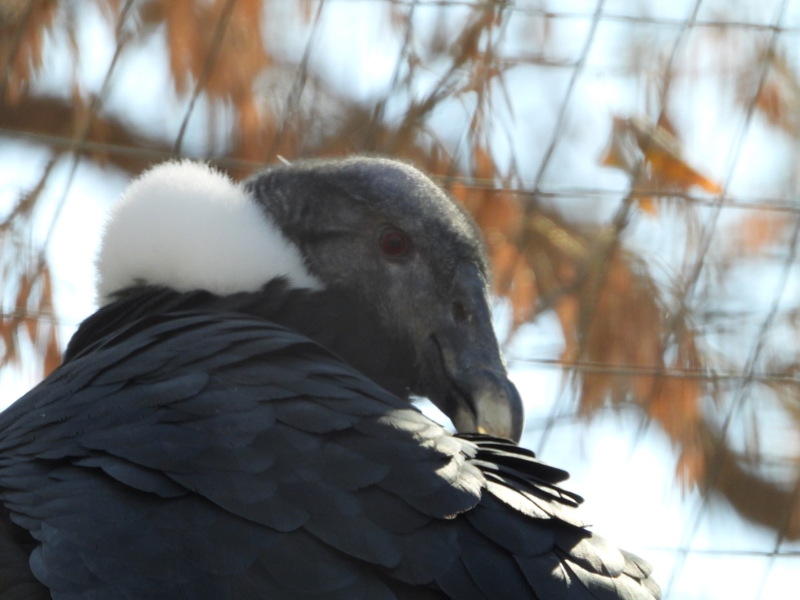 dscn2358.jpg