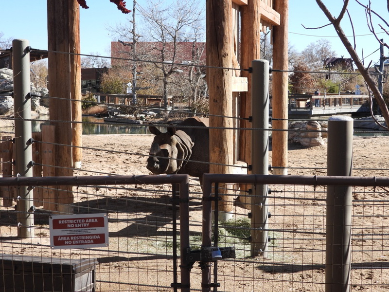 dscn2398.jpg