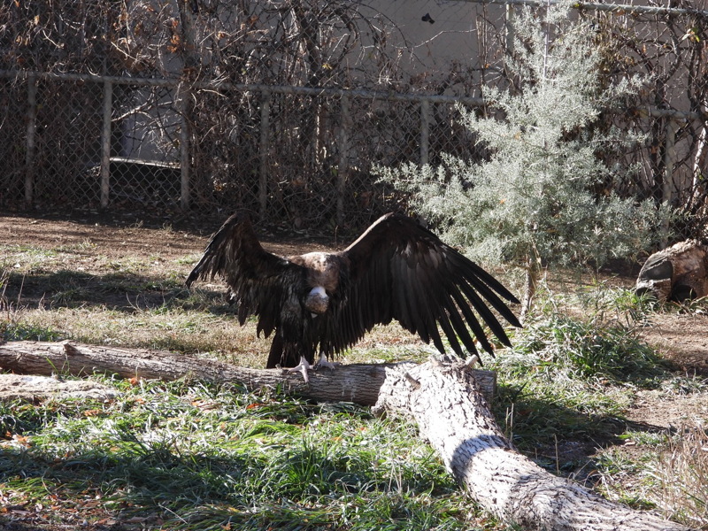 dscn2406.jpg
